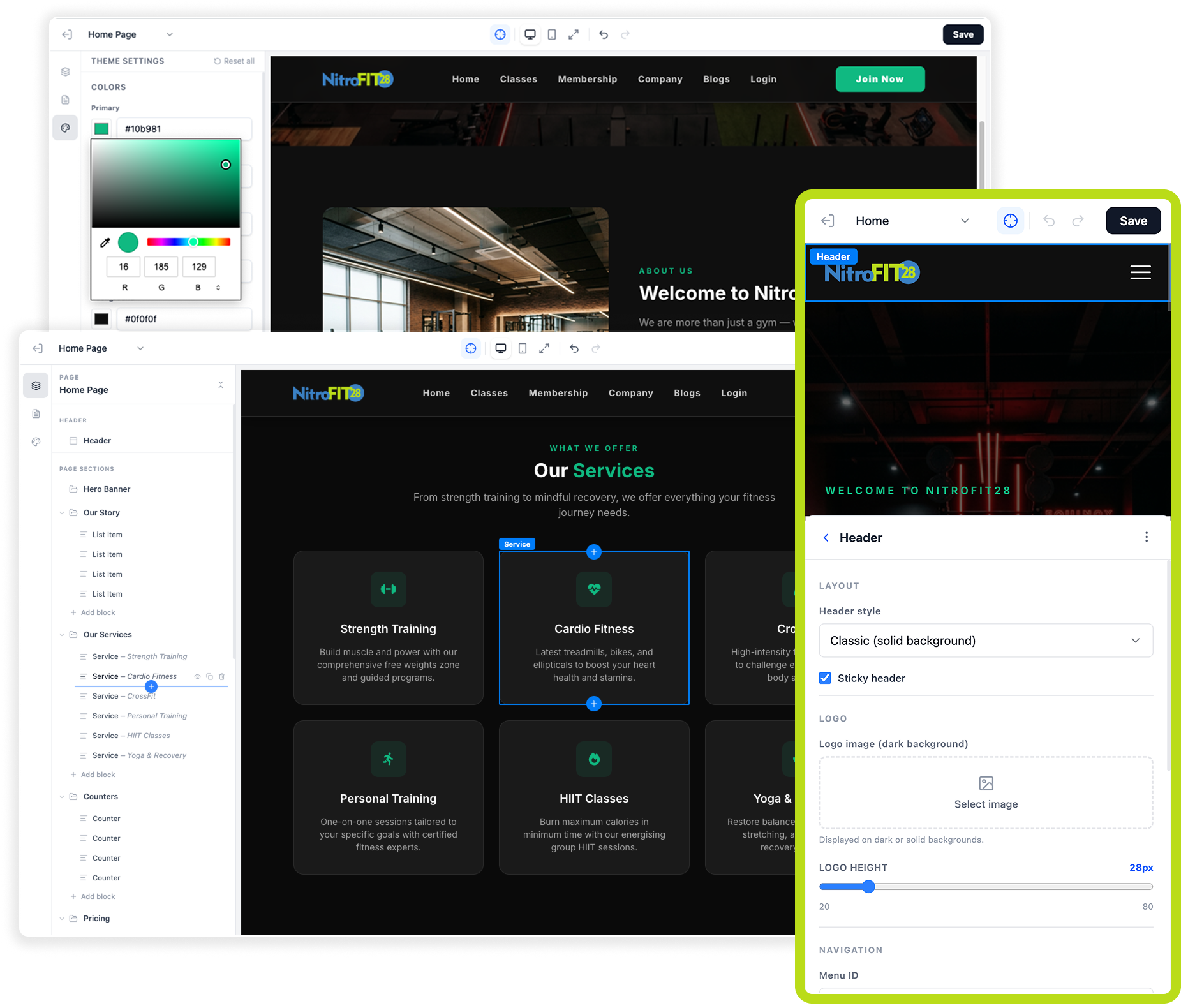 Website Builder & Themes